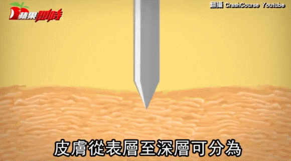 1777268944711628.gif